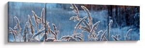 Obraz - Zimowa łąka (170x50 cm)