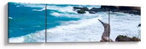 Obraz - głuptak niebieskonogi (170x50 cm)