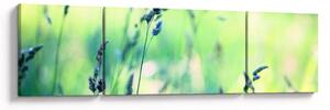 Obraz - Szczegół łąki (170x50 cm)