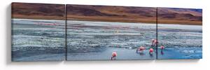 Obraz - Flamingi (170x50 cm)