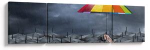 Obraz - Parasole (170x50 cm)