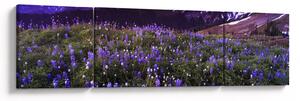 Obraz - Wulkan i kwiaty (170x50 cm)