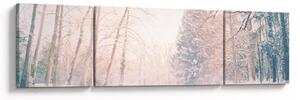 Obraz - Widok na las (170x50 cm)
