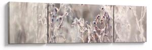 Obraz - Roślina (170x50 cm)