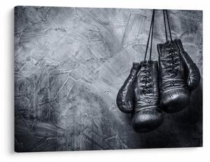Obraz - Rękawice bokserskie (70x50 cm)