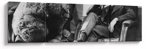 Obraz - Cyrk (170x50 cm)