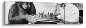 Obraz - Cyrk 2 (170x50 cm)