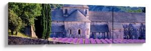 Obraz - Lewandowe pole (170x50 cm)