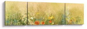 Obraz - Malowana łąka (170x50 cm)