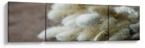 Obraz - Zajęczy ogonek (170x50 cm)