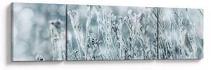 Obraz - Magia zimy (170x50 cm)