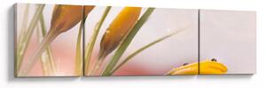 Obraz - Wiosenne kwiaty (170x50 cm)