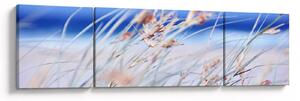 Obraz - Bryza (170x50 cm)