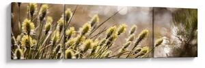 Obraz - Zieleń (170x50 cm)