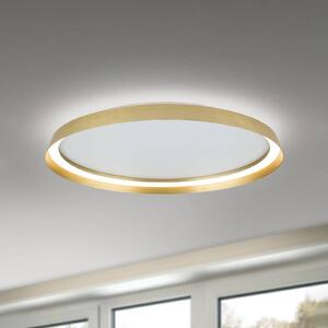 ORION Lampa sufitowa LED Manta, możliwość ściemniania, mosiężny / złoty, salon / jadalnia, aluminium, nowoczesny