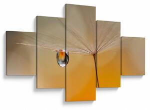 Obraz - Makro kwiat (125x70 cm)