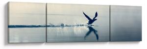 Obraz - Nury (170x50 cm)