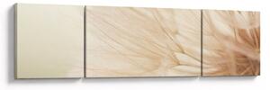 Obraz - Szczegóły kwiatu (170x50 cm)
