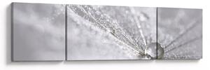 Obraz - Kropla wody (170x50 cm)