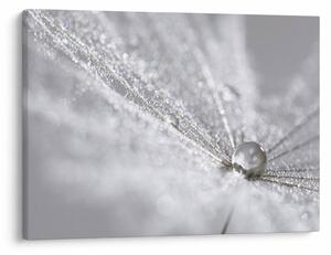 Obraz - Kropla wody (70x50 cm)