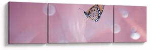 Obraz - Motylek (170x50 cm)