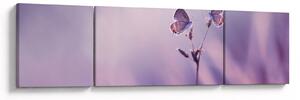 Obraz - Fioletowe motyle (170x50 cm)