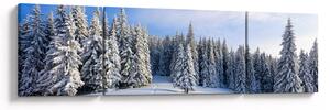Obraz - Zima w lasach (170x50 cm)