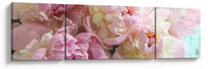 Obraz - Piwonie (170x50 cm)