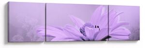 Obraz - Fioletowy kwiat (170x50 cm)
