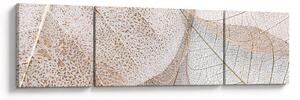 Obraz - Beżowe liście (170x50 cm)