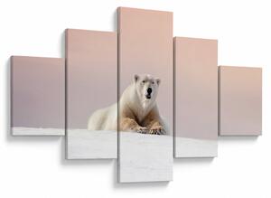 Obraz - Niedźwiedź polarny (125x70 cm)