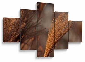 Obraz - Kortaderia (125x70 cm)