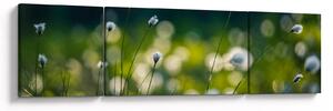 Obraz - Trawa (170x50 cm)