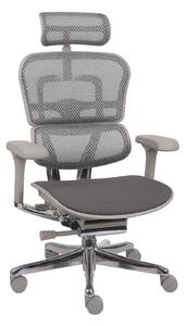 Ergonomiczny fotel biurowy Ergohuman 2 Elite GT Grey