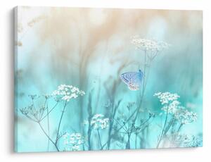 Obraz - Motyl w niebieskim (70x50 cm)