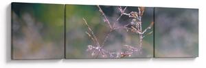 Obraz - Szczegół trawy (170x50 cm)