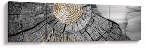 Obraz - Pień drzewa w kolażu (170x50 cm)