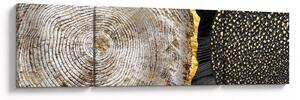 Obraz - Pień drzewa w kolażu 2 (170x50 cm)