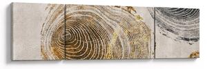 Obraz - Abstrakcja pnia (170x50 cm)