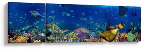 Obraz - Ocean (170x50 cm)