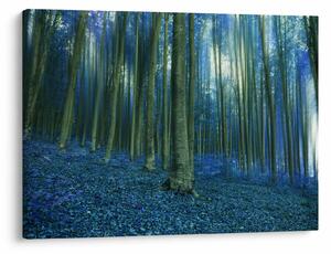 Obraz - Niebieski las (70x50 cm)