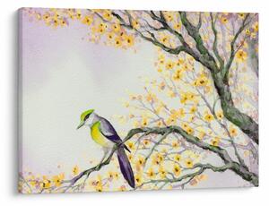Obraz - Akwarelowy ptaszek na drzewie (70x50 cm)