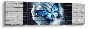 Obraz niebieskiego motyla na ścianie (170x50 cm)