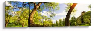 Obraz wiosennej łąki (170x50 cm)