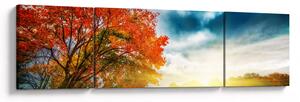 Obraz skąpanego w słońcu krajobrazu (170x50 cm)