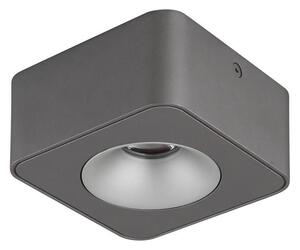 Globo Globo 43100-1 - LED Plafon HANGARAU LED/6,5W/230V 11,7x11,7 cm GL8317