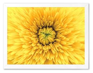 Obraz Kwiaty Modern G104721 33x43cm RC
