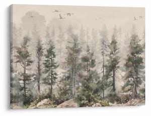 Obraz - Pine forest I., aquarel (70x50 cm)