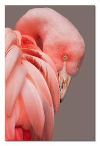 Obraz Pink Cocktail G104684 60x90cm RC