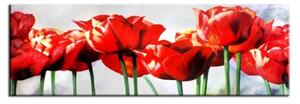 Obraz Tulipany G16582 50x150cm RM